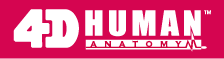 4D HUMAN ANATOMY